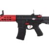 VFC Avalon