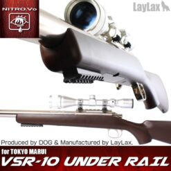 VSR-10 Under Rail