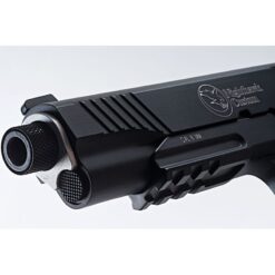 Airsoft nighthawk