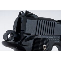 Airsoft nighthawk