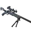 MLC LTR 303 bk MLC LTR