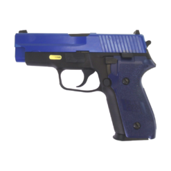WE F228 Pistol Two Tone