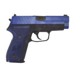 WE F228 Pistol Two Tone