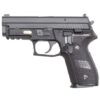 WE Sig P229 GBB pistol – left-side full view, black finish, alloy slide and 20mm rail visible