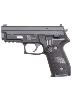 WE Sig P229 GBB pistol – left-side full view, black finish, alloy slide and 20mm rail visible