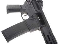 Delta Armory DA-C09-EGL CHARLIE™ 10