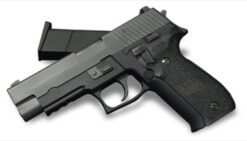 WE Sig P226 E2 GBB pistol – left-side full view