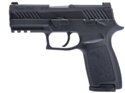 SIG Sauer ProForce P320 M18 MHS Gas Blowback Pistol (Black - AIR-PF-M18BGG)