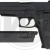 WE F226 P226 GBB pistol – left-side full view, black steel slide and polymer frame
