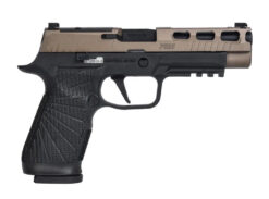 Para Bellum P320 4.7 Pro WC Custom GBB Pistol - slide and barrel detail