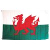 Welsh Flag 1