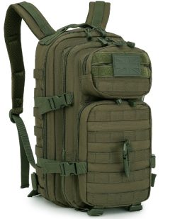 Small Molle Assault Pack 28 Litre   Olive Green 3