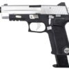 WE P-Virus WE P-Virus 226 GBBP with LED Case (Chrome) airsoft