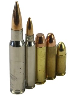Collectors Bullet Pack (5 Pack) 2