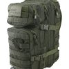 Hex Stop Small Molle Assault Pack Olive Green 1